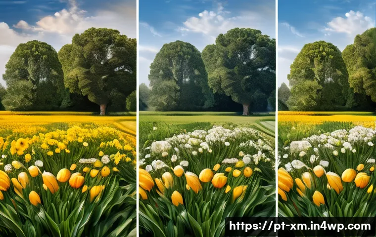 인상주의적 요소의 인지적 효과 - Here are three image generation prompts in English, inspired by the themes of Impressionism and adhe...